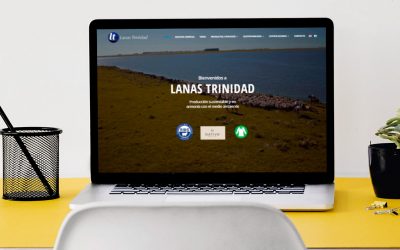 Sitio Web – Lanas Trinidad