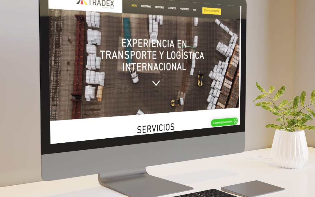 Sitio Web – Tradex International